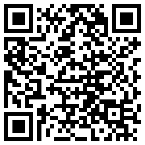 Custom balloon package inquiry form.