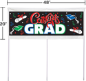 Balloon Decor: Yard Art (Balloons, Custom Décor, and Yard Signs)