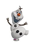 Disney Princess Frozen