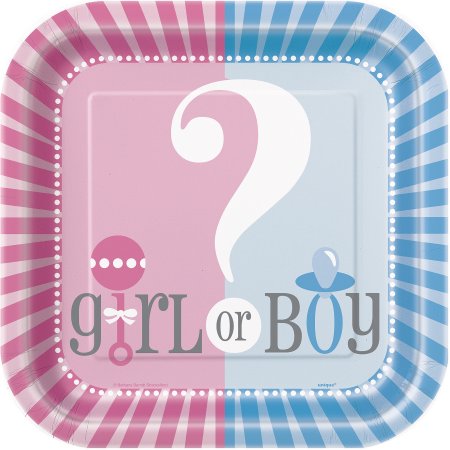 Gender Reveal Baby Shower Girl or Boy Plates