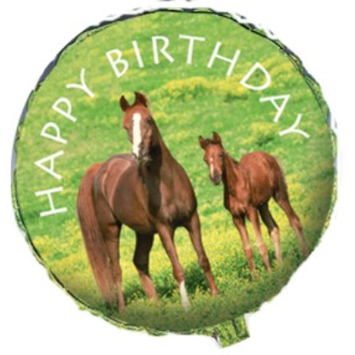 Wild Horses